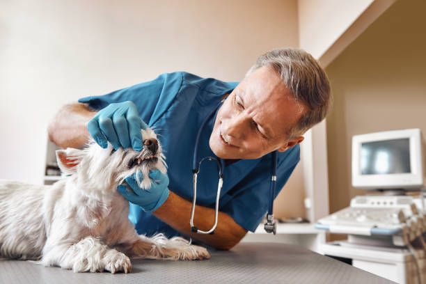 Best Emergency Broken Tooth Repair in Cudjoe Key, FL